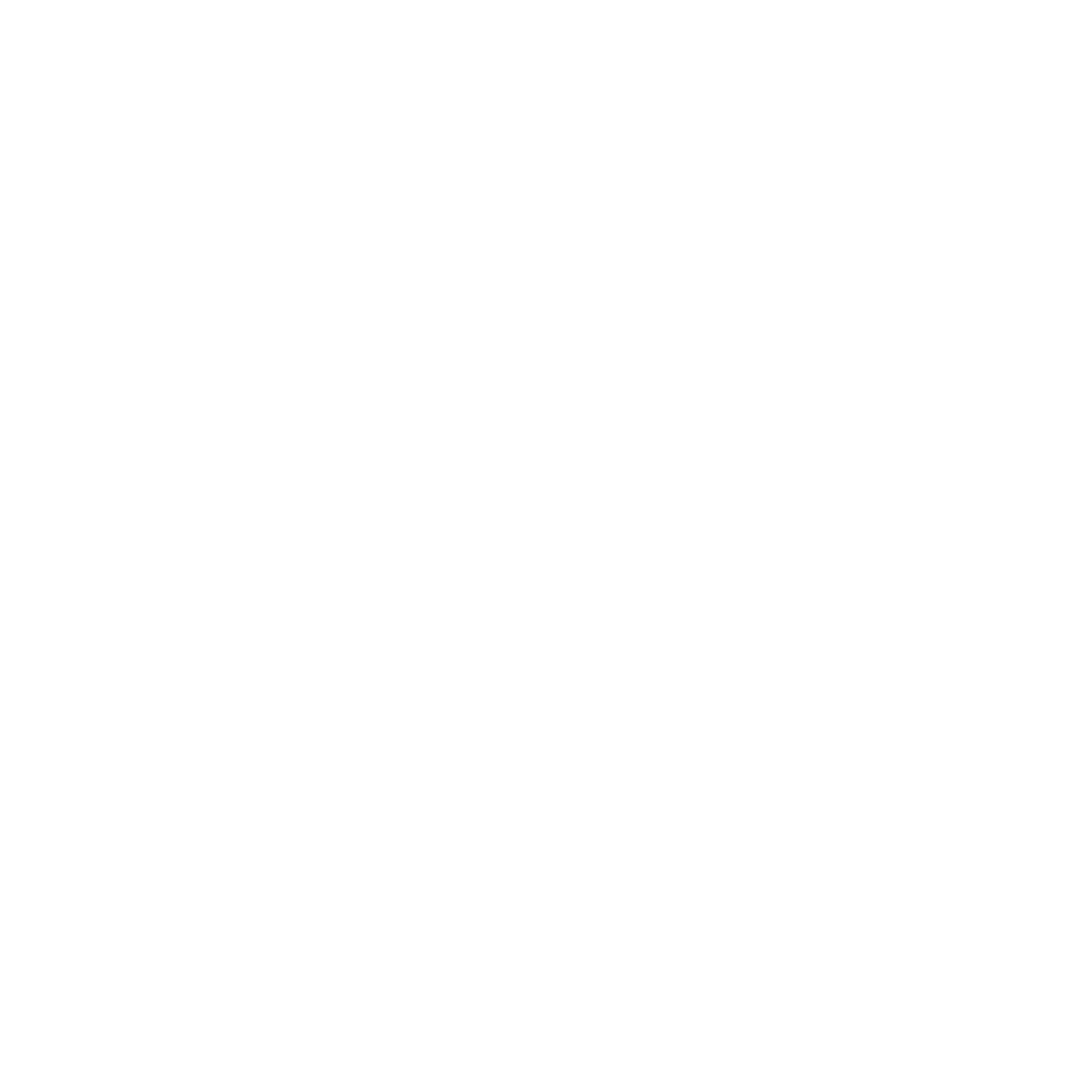 Github logo